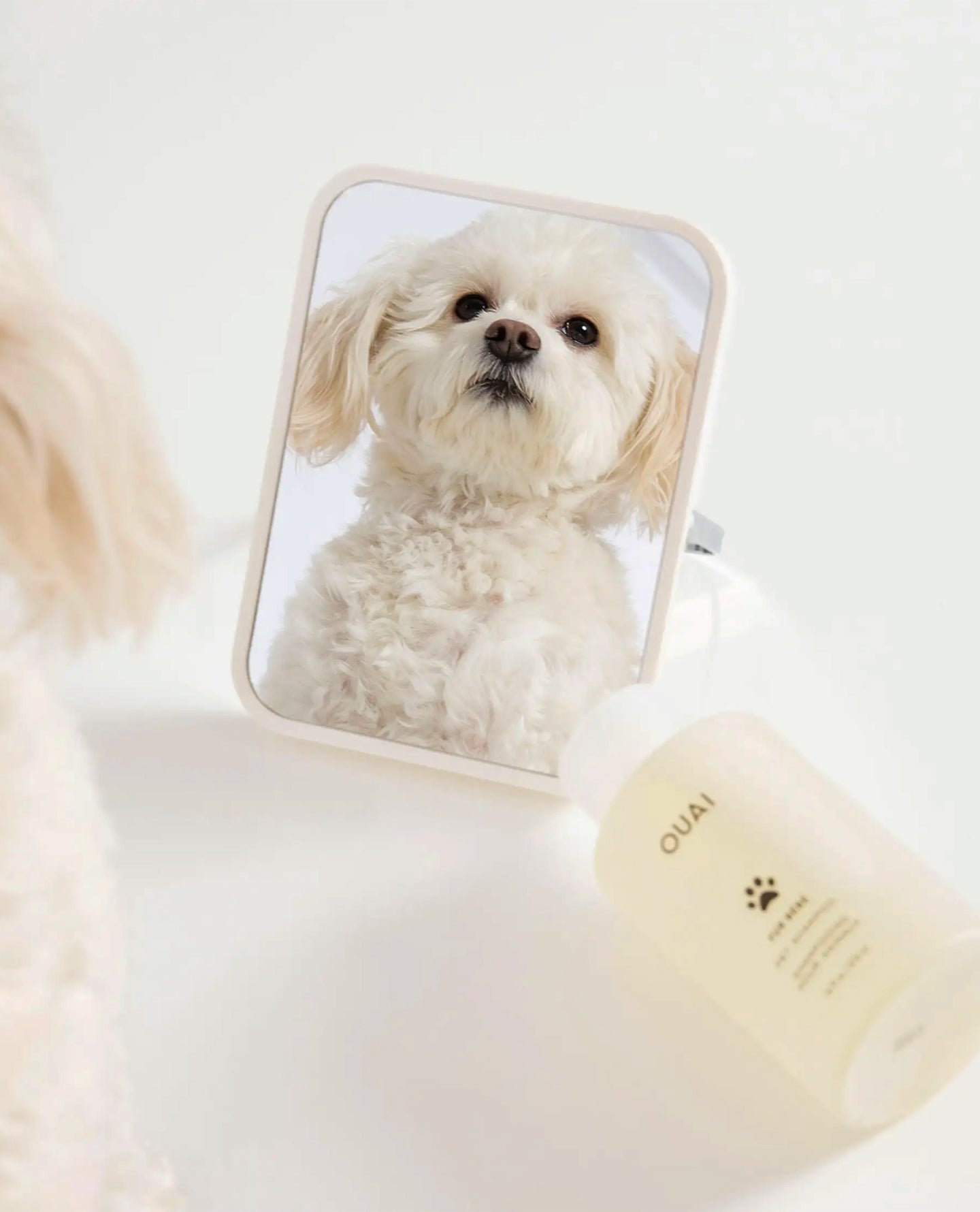 Fur Bébé - Image 6