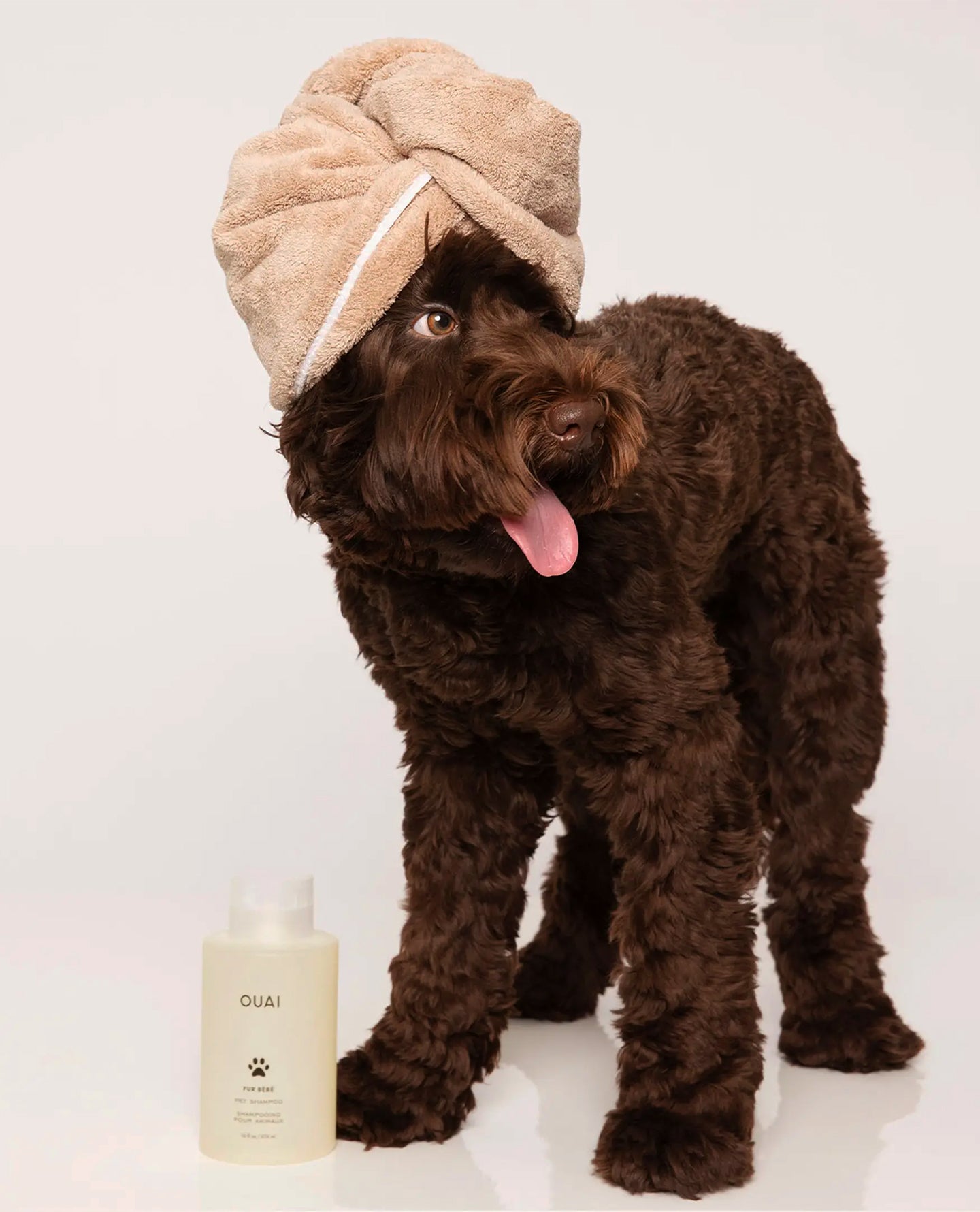 Fur Bébé - Image 7