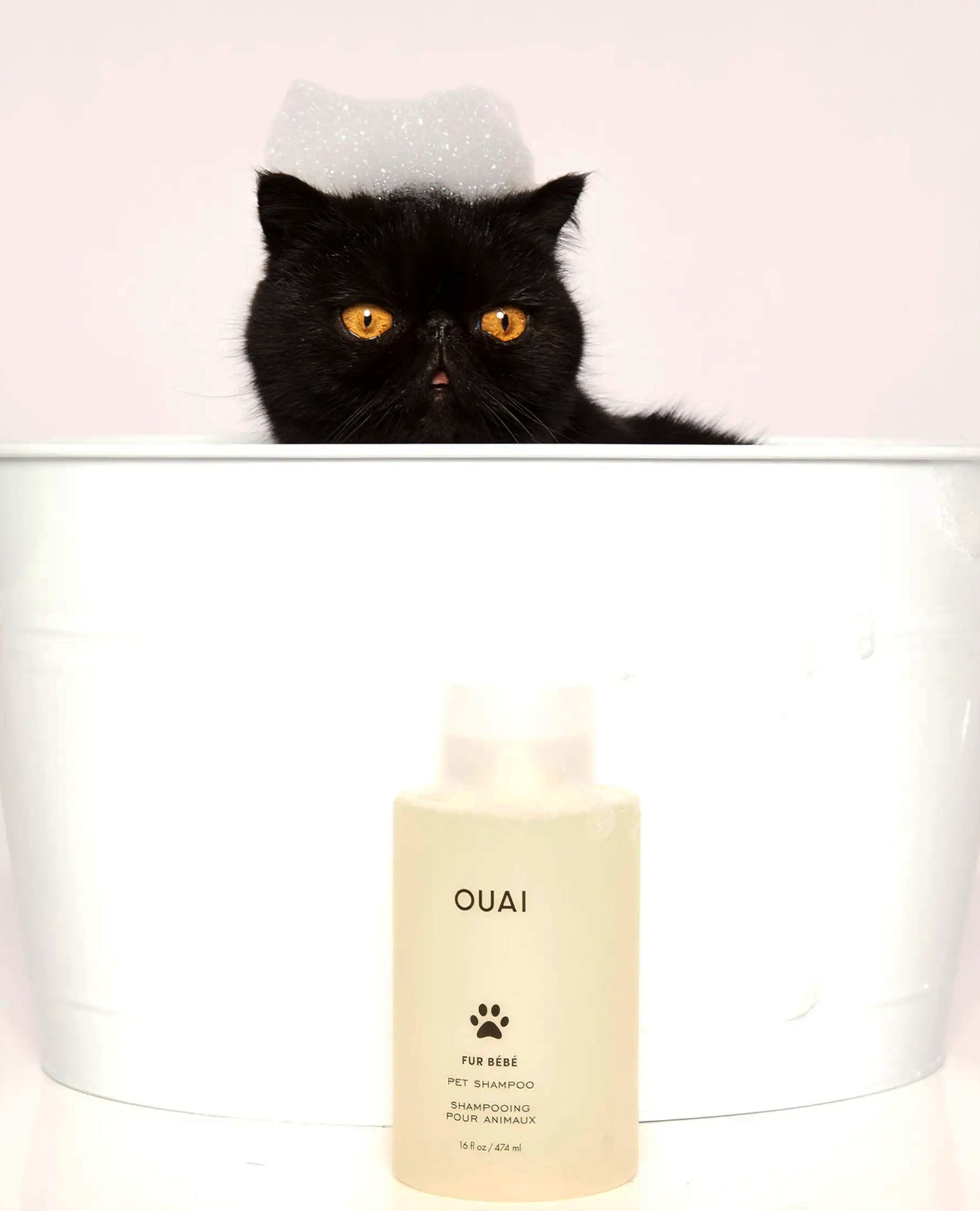 Fur Bébé - Image 8